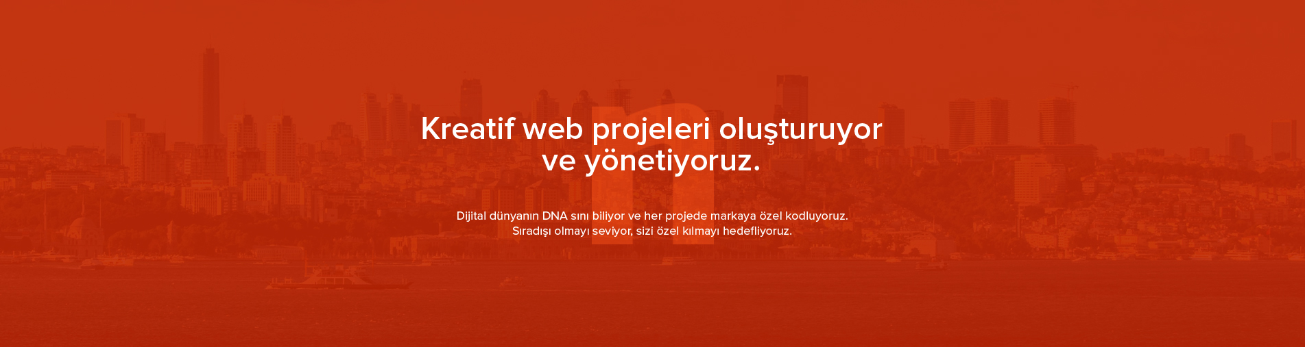 web sitesi tasarımı